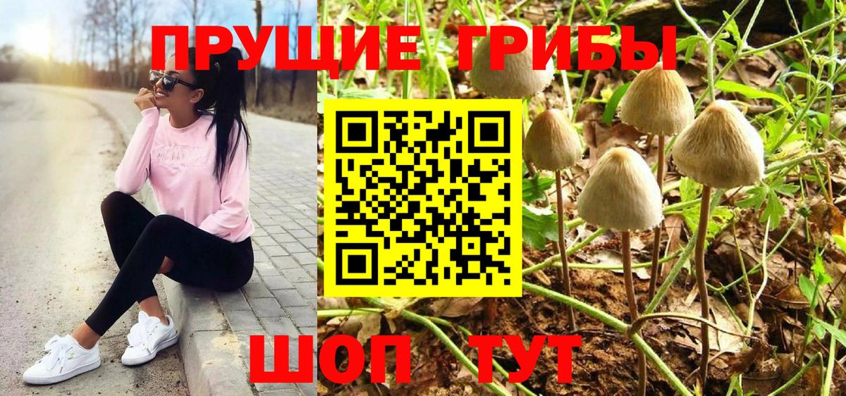Симферополь  Галлюциногенные грибы ЛСД  Вход с VPN 